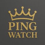 Ping Watch